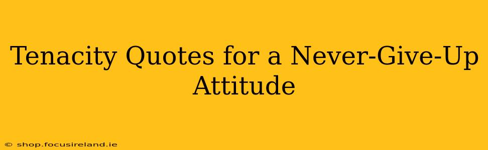 Tenacity Quotes for a Never-Give-Up Attitude