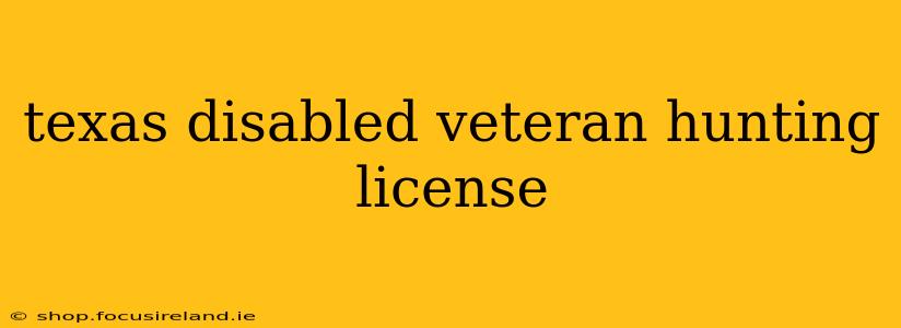 texas disabled veteran hunting license