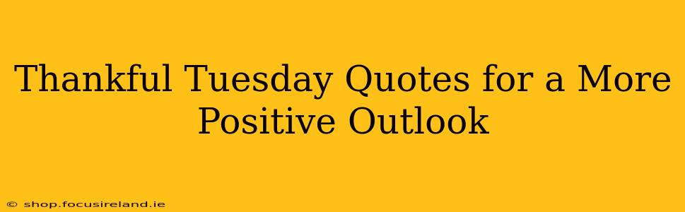 Thankful Tuesday Quotes for a More Positive Outlook