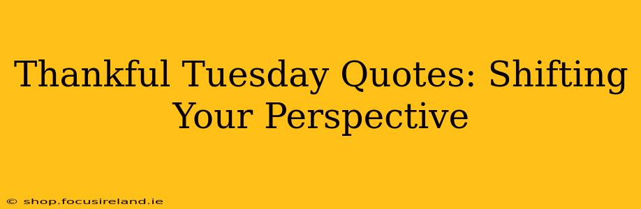 Thankful Tuesday Quotes: Shifting Your Perspective