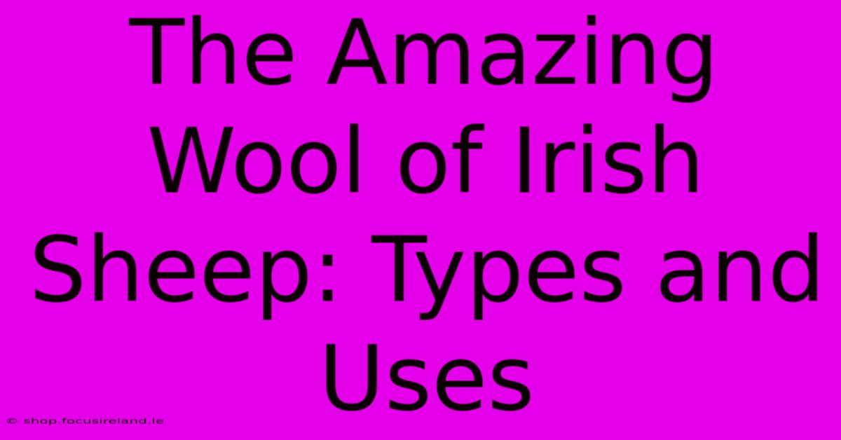 The Amazing Wool Of Irish Sheep: Types And Uses