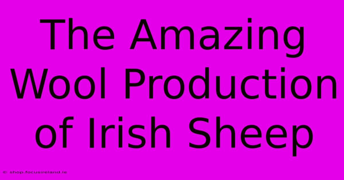 The Amazing Wool Production Of Irish Sheep