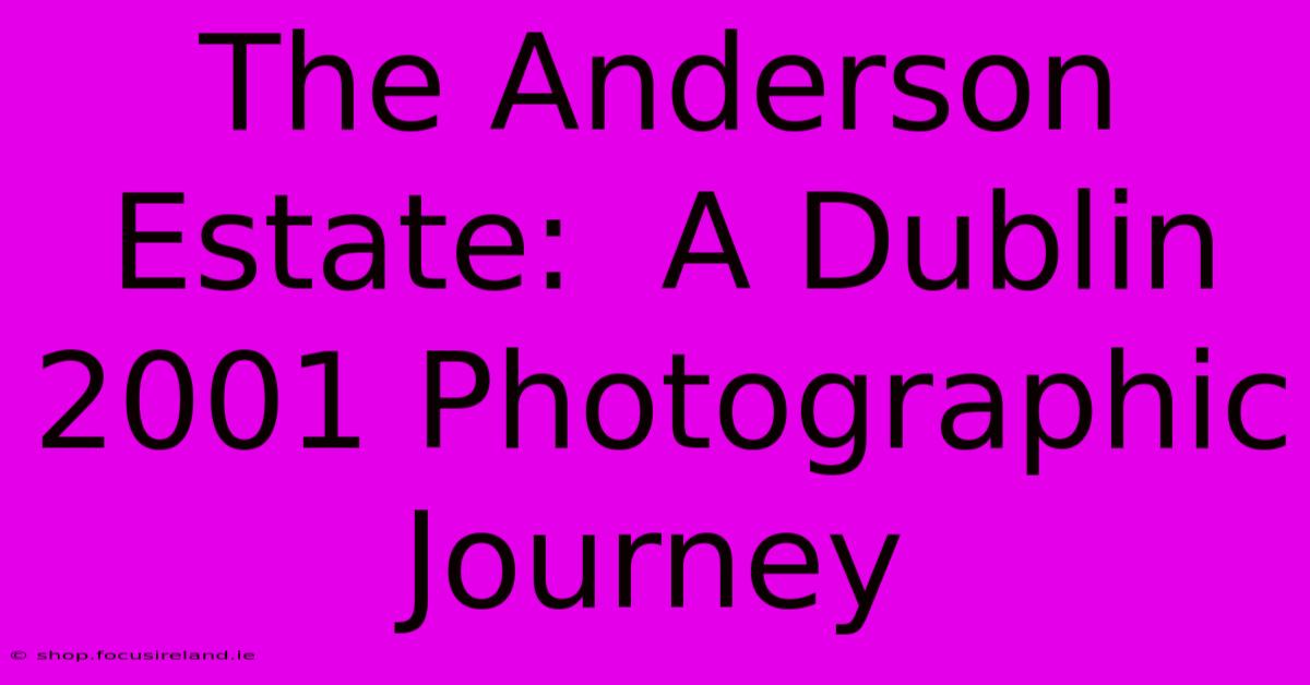 The Anderson Estate:  A Dublin 2001 Photographic Journey