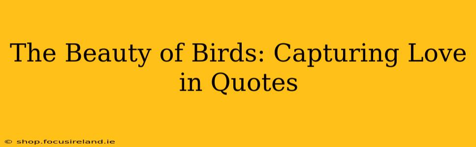 The Beauty of Birds: Capturing Love in Quotes