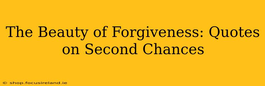 The Beauty of Forgiveness: Quotes on Second Chances