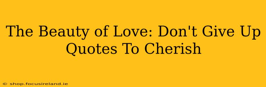 The Beauty of Love: Don't Give Up Quotes To Cherish