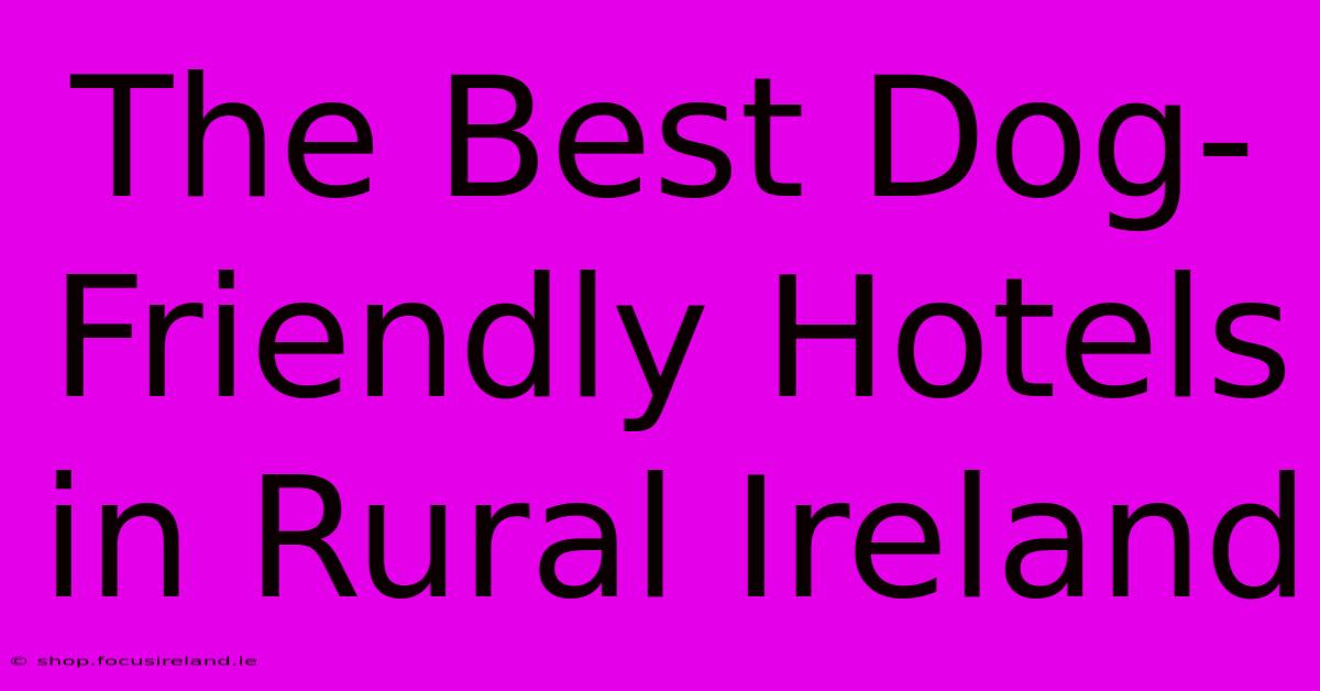 The Best Dog-Friendly Hotels In Rural Ireland