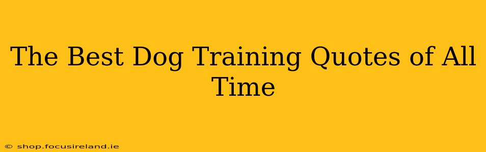 The Best Dog Training Quotes of All Time