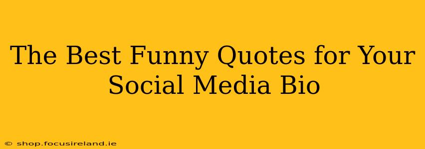The Best Funny Quotes for Your Social Media Bio