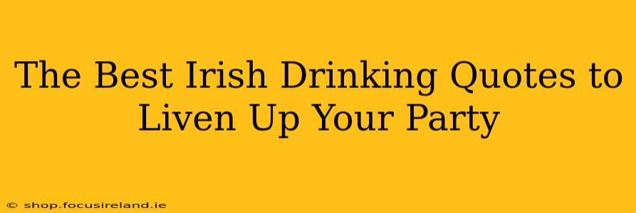 The Best Irish Drinking Quotes to Liven Up Your Party