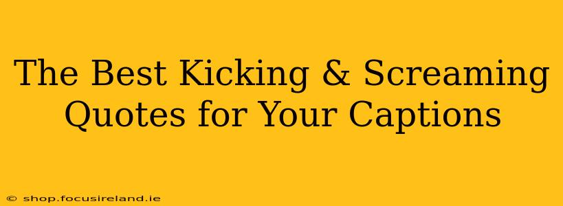 The Best Kicking & Screaming Quotes for Your Captions