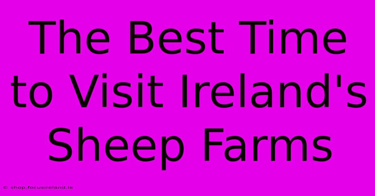 The Best Time To Visit Ireland's Sheep Farms