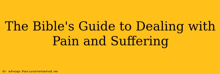 The Bible's Guide to Dealing with Pain and Suffering