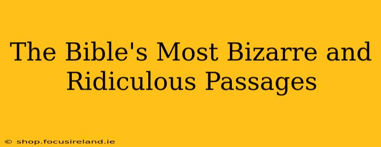 The Bible's Most Bizarre and Ridiculous Passages