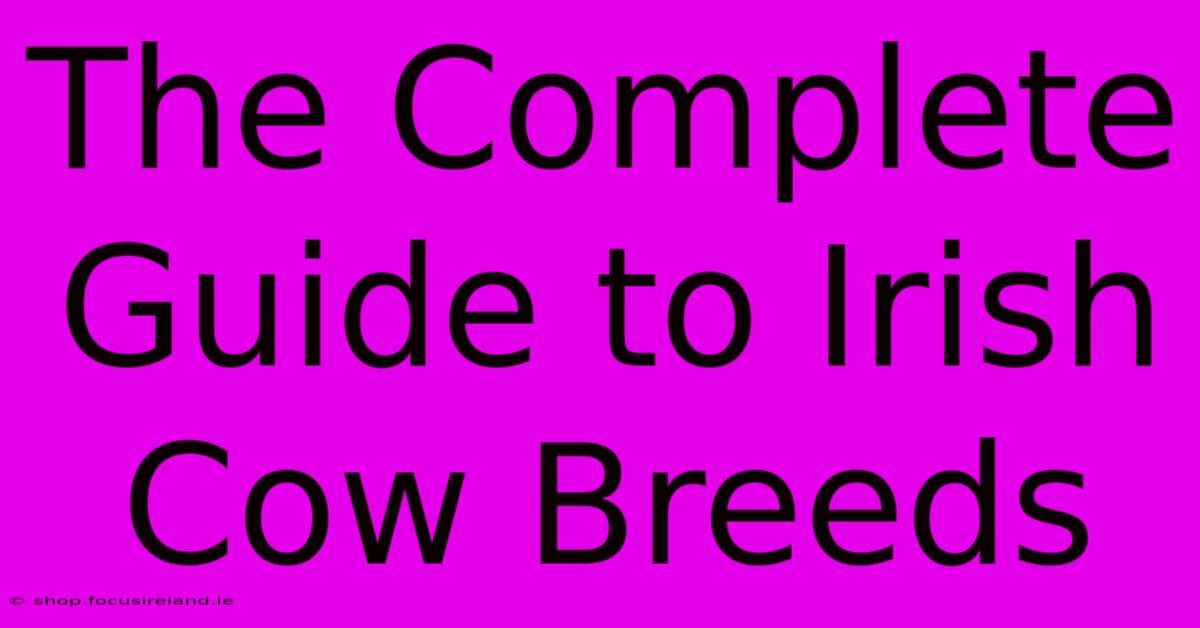 The Complete Guide To Irish Cow Breeds