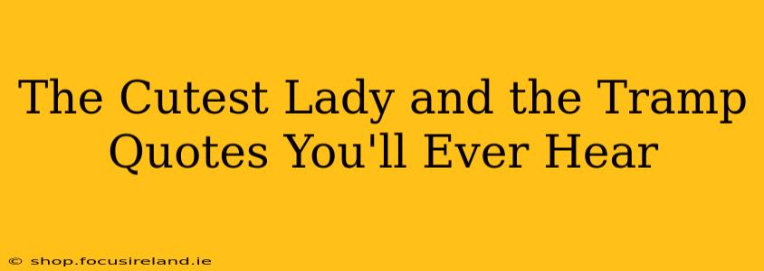 The Cutest Lady and the Tramp Quotes You'll Ever Hear