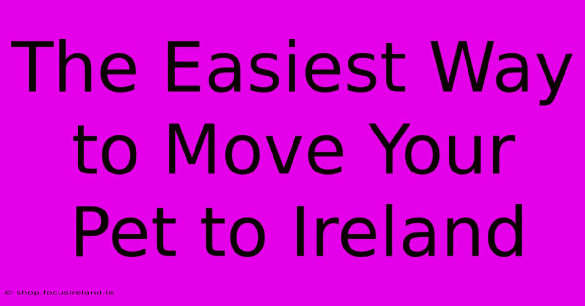 The Easiest Way To Move Your Pet To Ireland