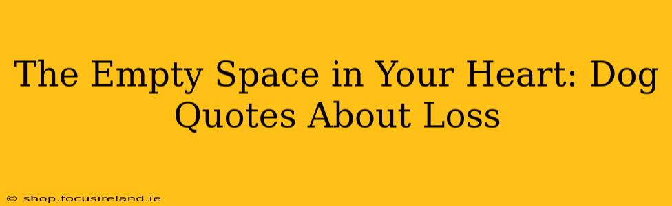 The Empty Space in Your Heart: Dog Quotes About Loss
