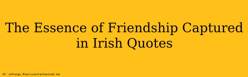 The Essence of Friendship Captured in Irish Quotes