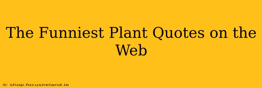 The Funniest Plant Quotes on the Web