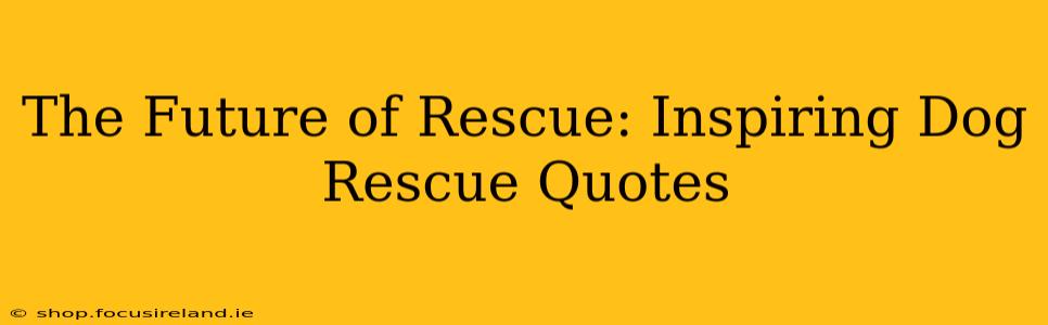 The Future of Rescue: Inspiring Dog Rescue Quotes