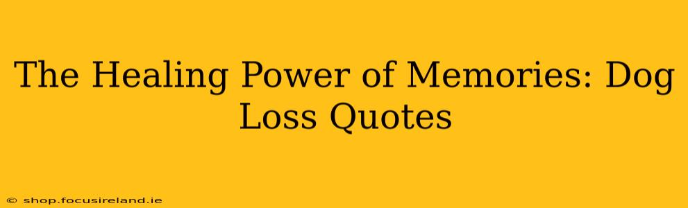 The Healing Power of Memories: Dog Loss Quotes