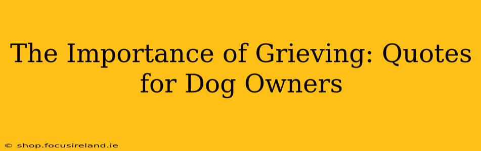 The Importance of Grieving: Quotes for Dog Owners