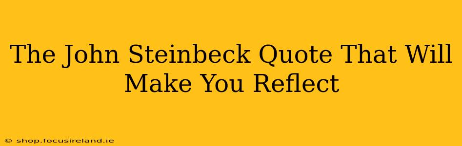 The John Steinbeck Quote That Will Make You Reflect