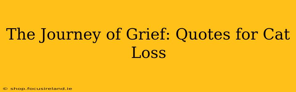 The Journey of Grief: Quotes for Cat Loss