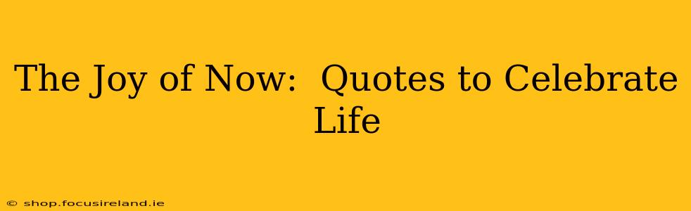 The Joy of Now:  Quotes to Celebrate Life