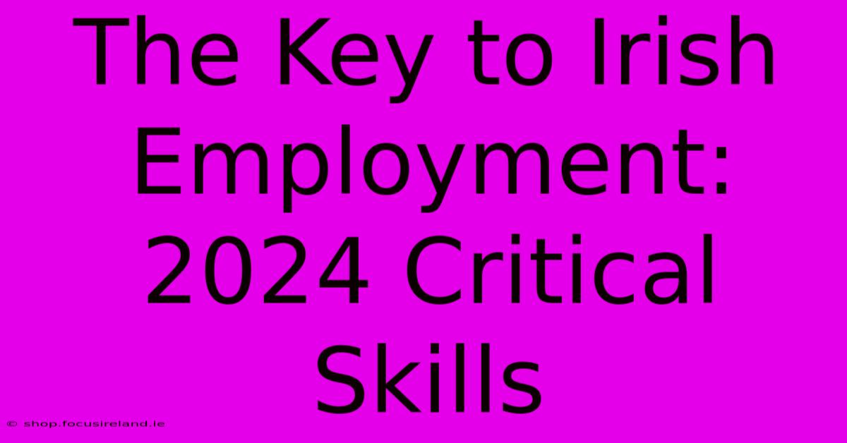 The Key To Irish Employment: 2024 Critical Skills