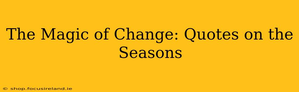 The Magic of Change: Quotes on the Seasons