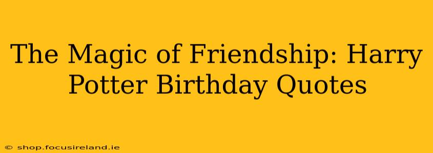 The Magic of Friendship: Harry Potter Birthday Quotes