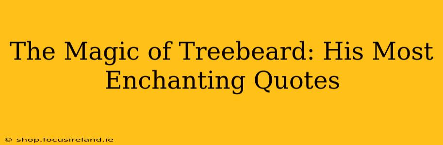 The Magic of Treebeard: His Most Enchanting Quotes