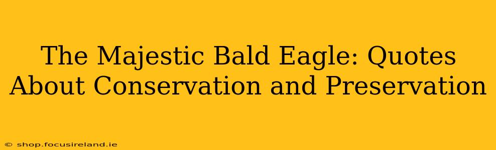 The Majestic Bald Eagle: Quotes About Conservation and Preservation