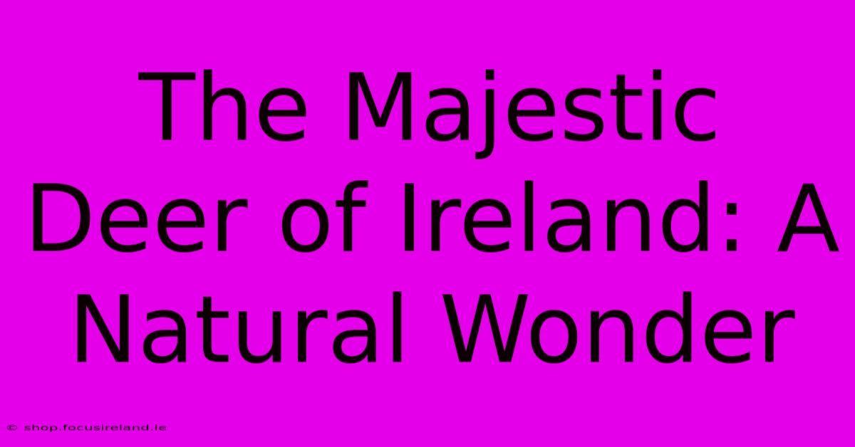 The Majestic Deer Of Ireland: A Natural Wonder