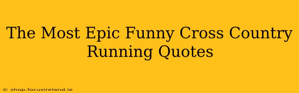 The Most Epic Funny Cross Country Running Quotes