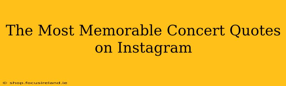 The Most Memorable Concert Quotes on Instagram