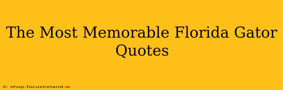 The Most Memorable Florida Gator Quotes