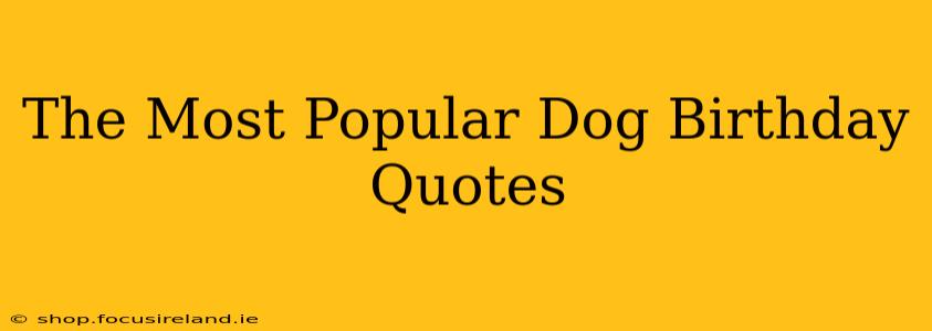 The Most Popular Dog Birthday Quotes
