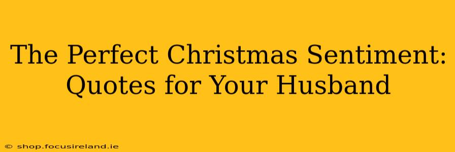The Perfect Christmas Sentiment: Quotes for Your Husband