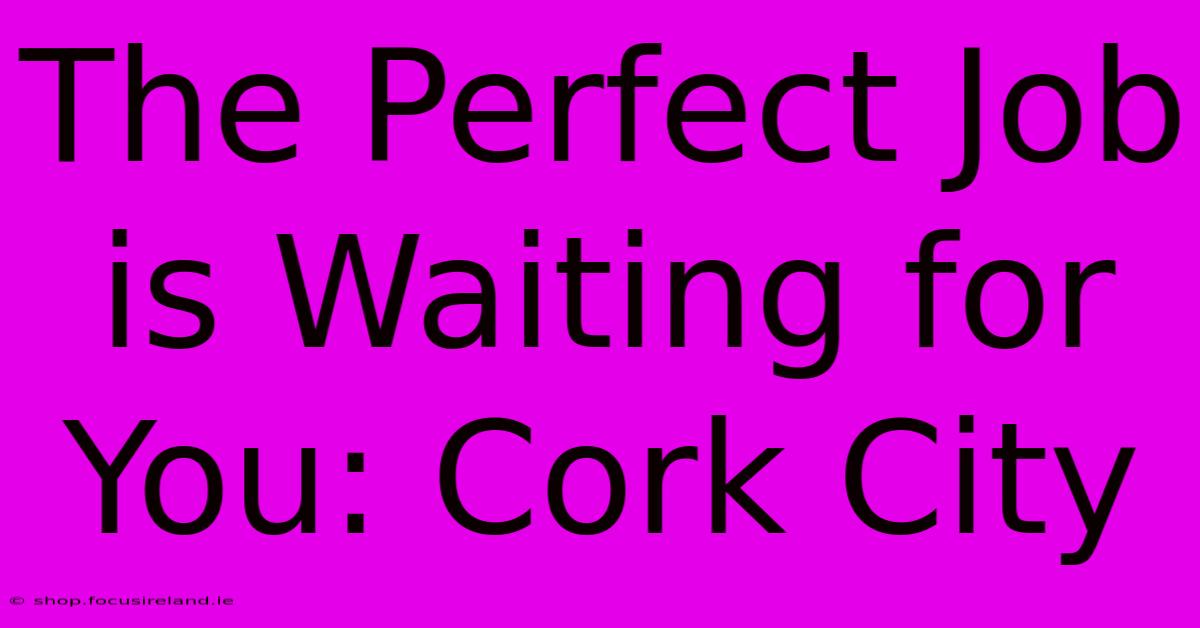 The Perfect Job Is Waiting For You: Cork City