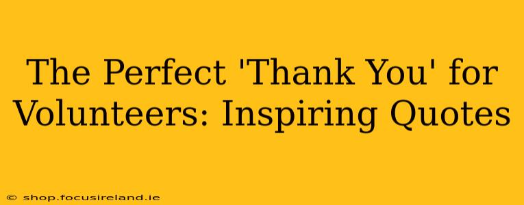 The Perfect 'Thank You' for Volunteers: Inspiring Quotes