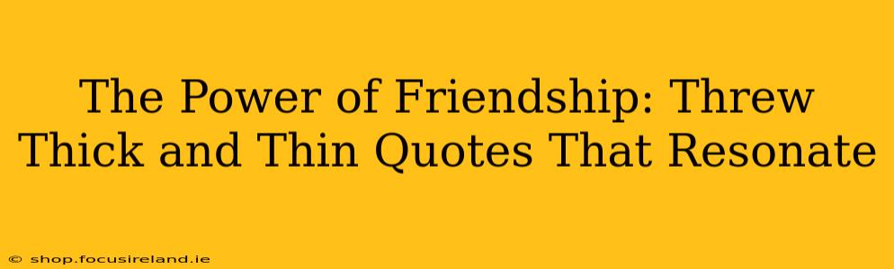 The Power of Friendship: Threw Thick and Thin Quotes That Resonate