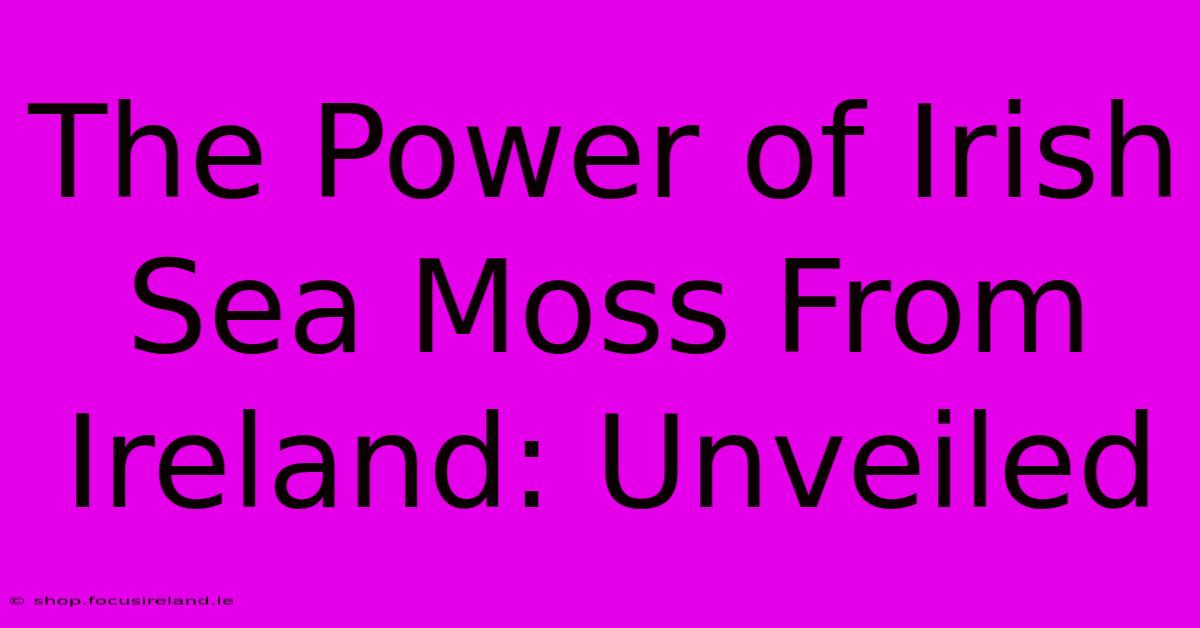 The Power Of Irish Sea Moss From Ireland: Unveiled