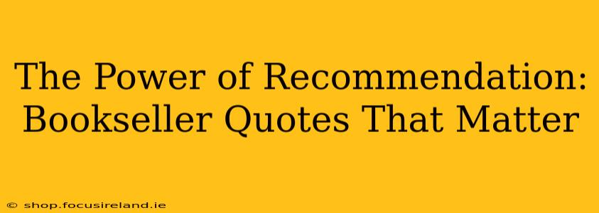 The Power of Recommendation: Bookseller Quotes That Matter