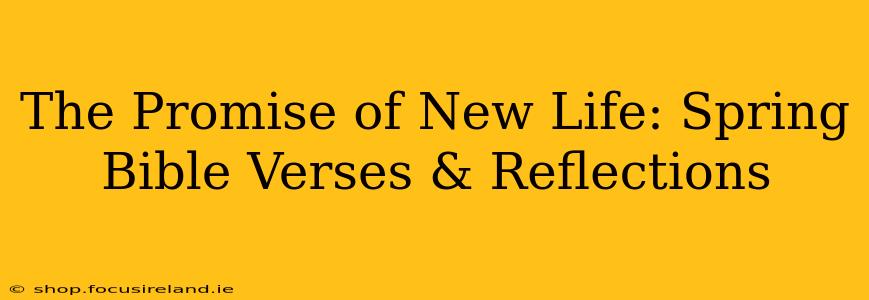 The Promise of New Life: Spring Bible Verses & Reflections