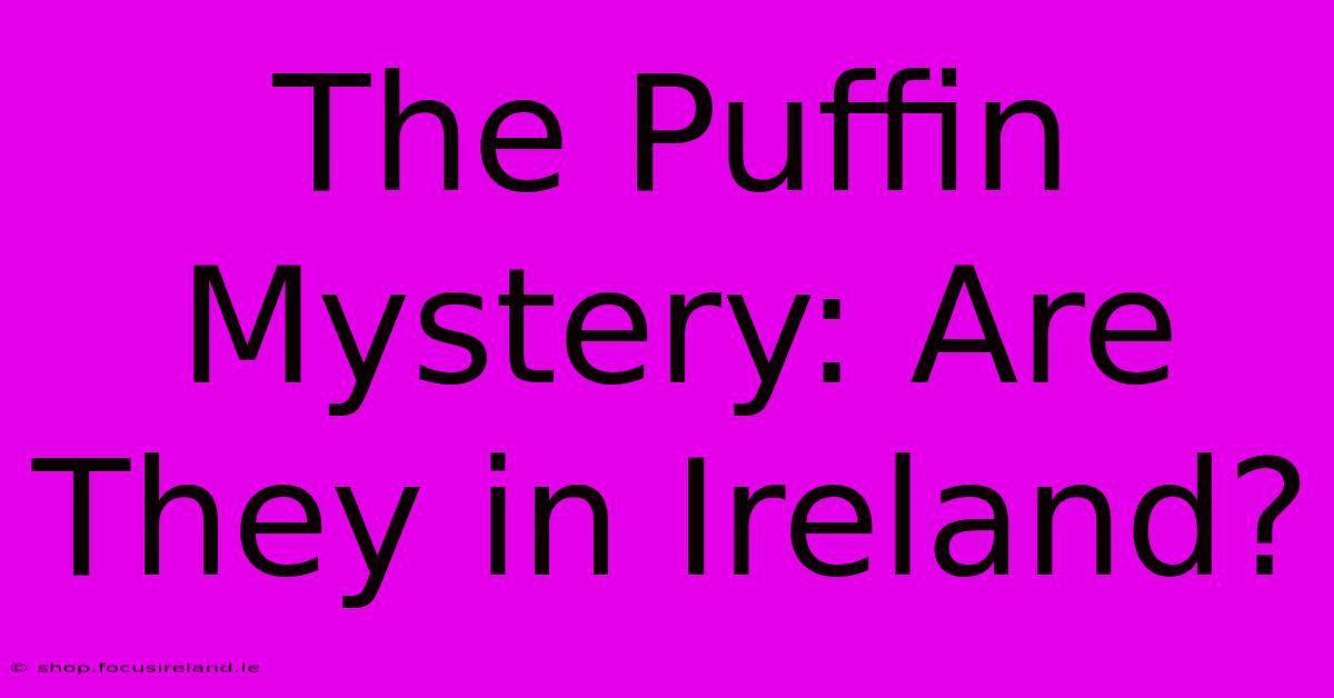 The Puffin Mystery: Are They In Ireland?