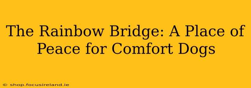 The Rainbow Bridge: A Place of Peace for Comfort Dogs