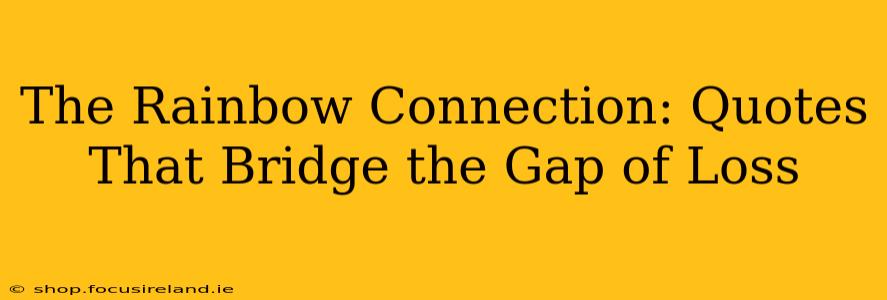 The Rainbow Connection: Quotes That Bridge the Gap of Loss